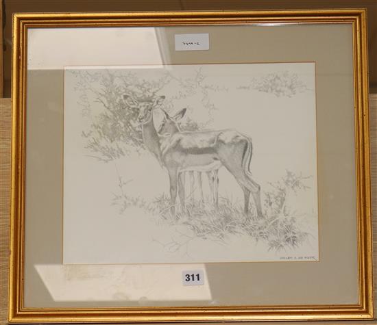William S. De Beer, pencil drawing, antelope or gazelle in a landscape, signed, 30 x 37cm